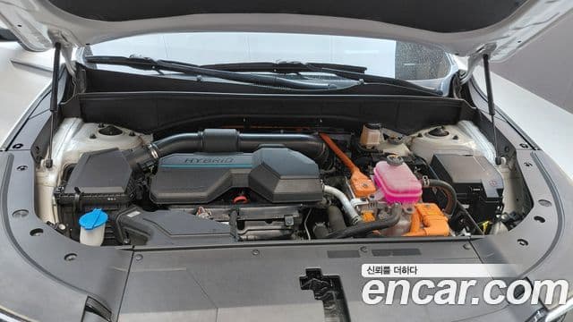 Kia Sorento 2023 — ფოტო 6/20