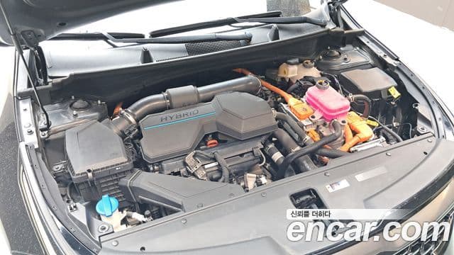 Kia Sportage 2023 — Şəkil 6/20