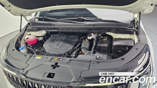 Kia Carnival 2024 — ფოტო 6/20