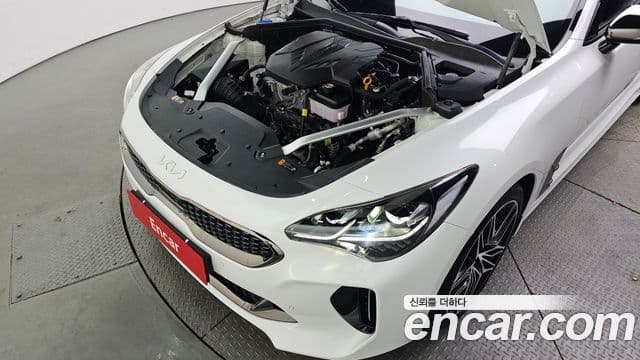 Kia Stinger 2021 — ფოტო 6/20