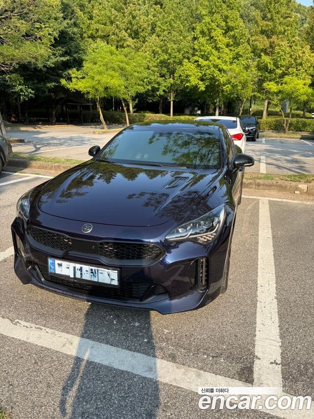 Kia Stinger 2019 — Фото 1/13