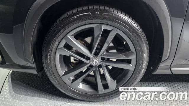 Lexus NX350h 2023 — Şəkil 5/20