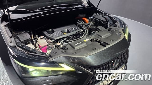 Lexus NX350h 2023 — Şəkil 6/20