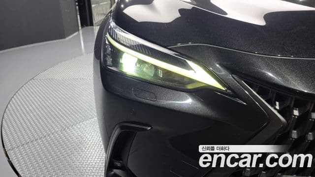 Lexus NX350h 2023 — Photo 20/37