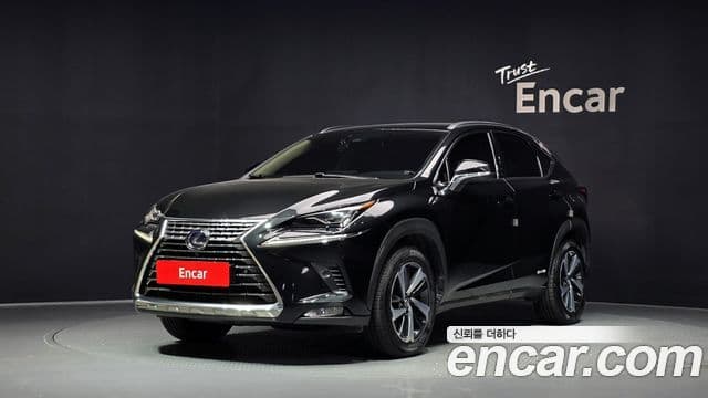 Lexus NX300h 2020 — Фото 1/20