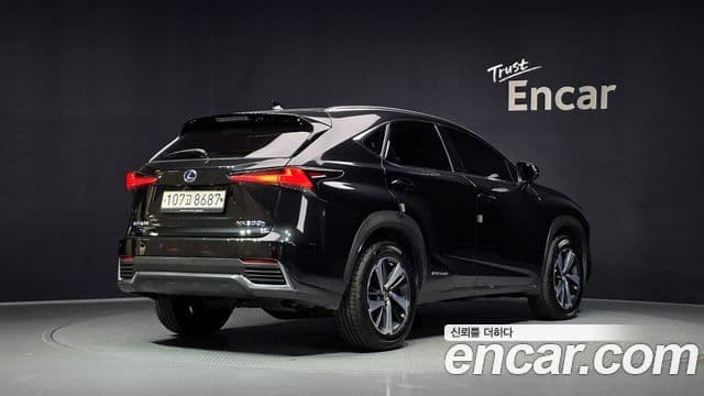 Lexus NX300h 2020 — Фото 2/20