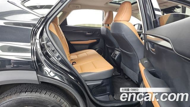 Lexus NX300h 2020 — Фото 12/20