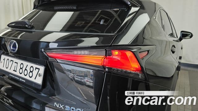 Lexus NX300h 2020 — Photo 29/40