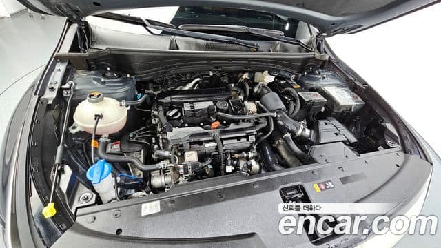 Kia Sportage 2023 — Şəkil 6/20