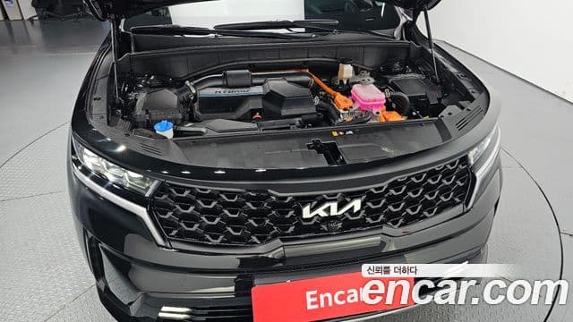 Kia Sorento 2023 — Şəkil 6/20