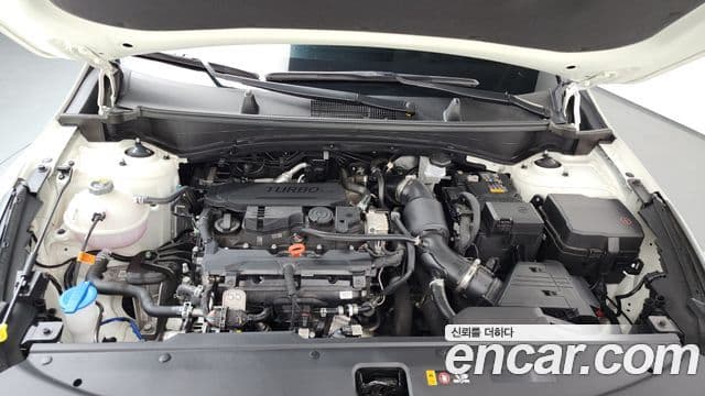 Kia Sportage 2025 — Şəkil 14/33
