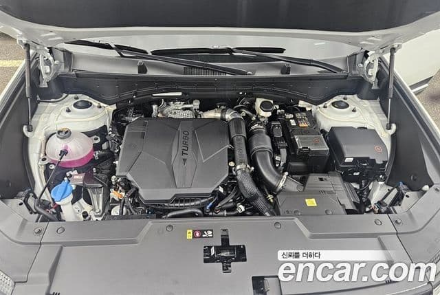Hyundai Santa Fe 2026 — ფოტო 5/20