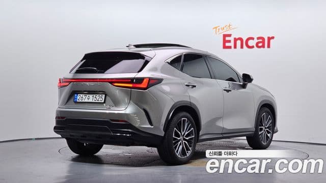 Lexus NX350h 2024 — ფოტო 2/20