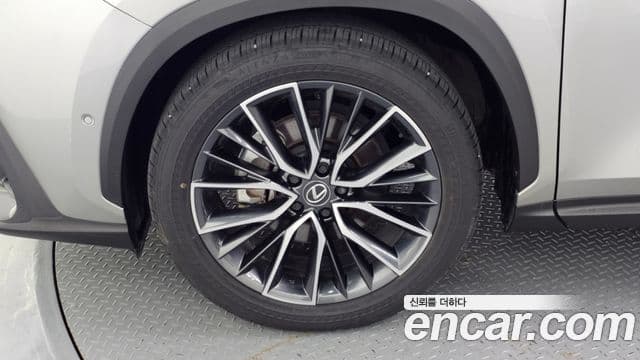 Lexus NX350h 2024 — Photo 11/33