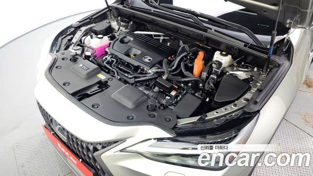 Lexus NX350h 2024 — ფოტო 6/20