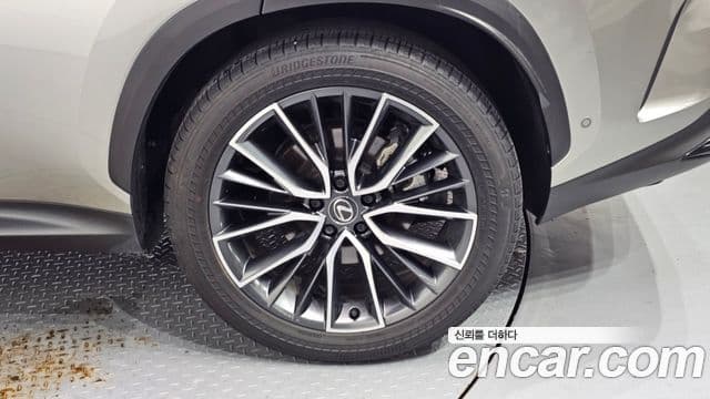 Lexus NX350h 2024 — Photo 16/33