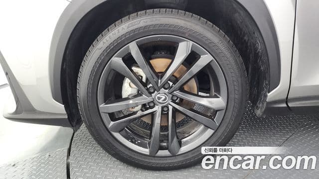 Lexus NX350h 2024 — Şəkil 5/20