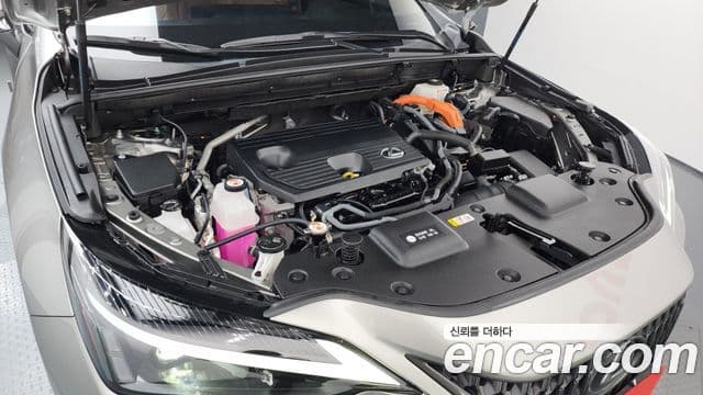 Lexus NX350h 2024 — Şəkil 6/20