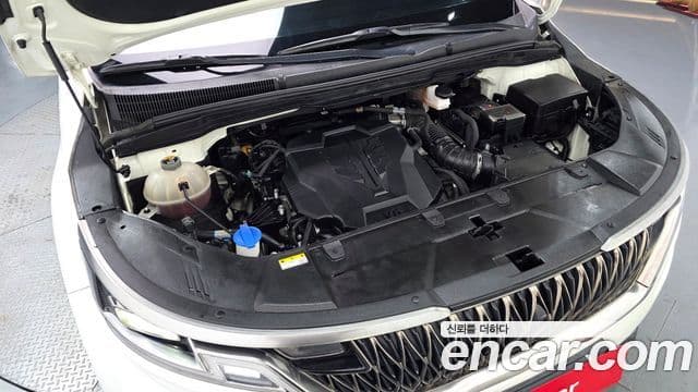 Kia Carnival 2022 — ფოტო 5/20