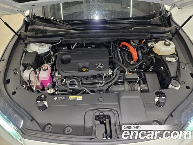Lexus RX350h 2025 — Photo 15/16
