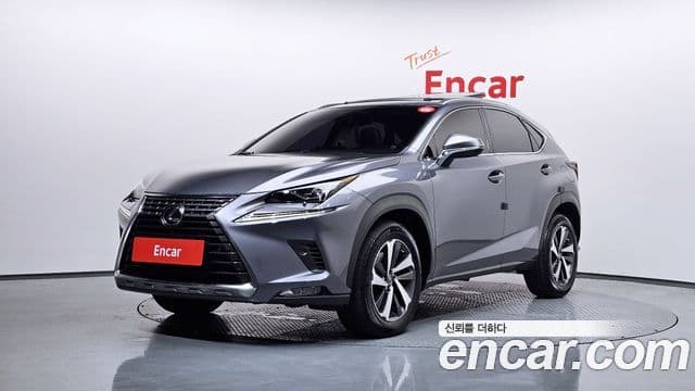 Lexus NX300 2018 — Şəkil 9/20