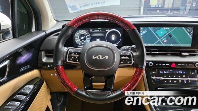 Kia Carnival 2021 — Фото 12/20