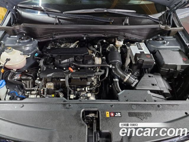 Kia Sportage 2021 — ფოტო 5/20