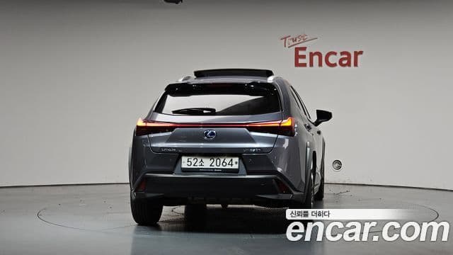 Lexus UX250h 2019 — Şəkil 4/20