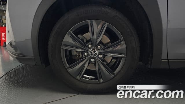 Lexus UX250h 2019 — Şəkil 5/20