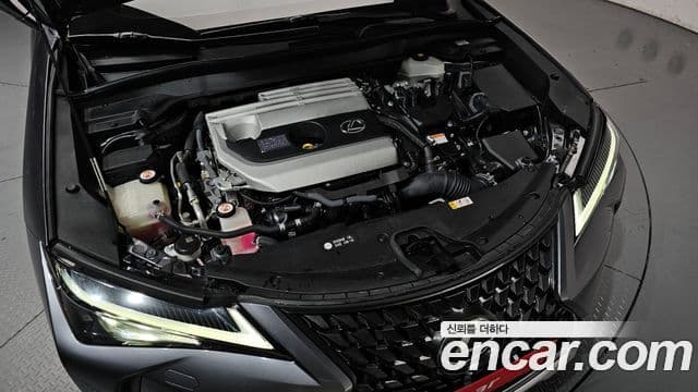 Lexus UX250h 2019 — Şəkil 6/20
