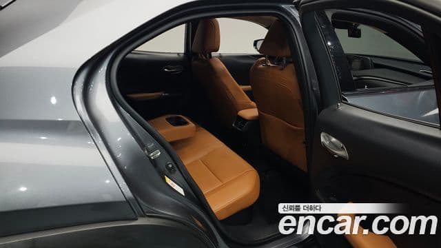 Lexus UX250h 2019 — Şəkil 12/20