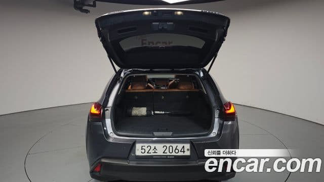 Lexus UX250h 2019 — Şəkil 20/20