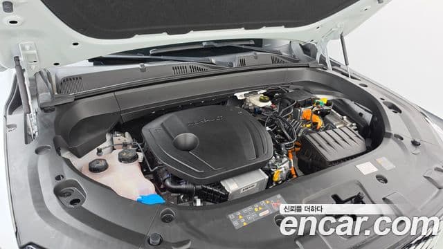 Renault Samsung Grand Koleos 2025 — Фото 6/20