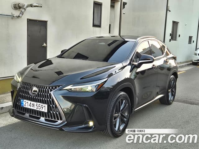 Lexus NX350h 2025 — Photo 6/17