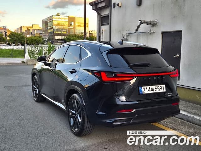 Lexus NX350h 2025 — Photo 10/17