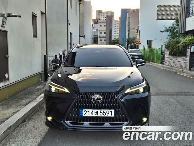 Lexus NX350h 2025 — Photo 4/17
