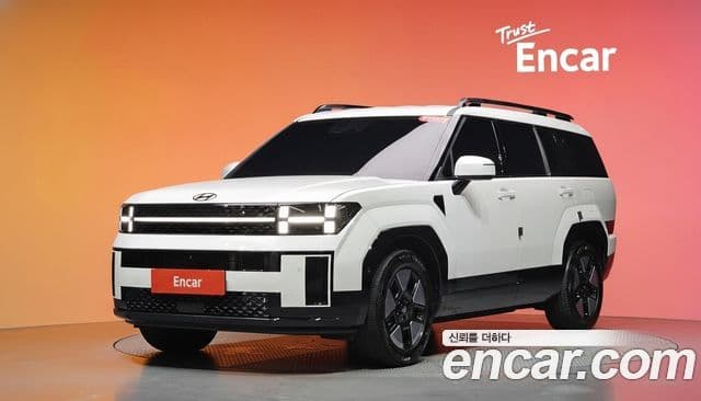 Hyundai Santa Fe 2024 — ფოტო 25/34