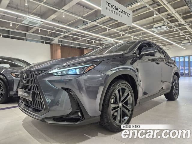 Lexus NX350h 2025 — Şəkil 3/20