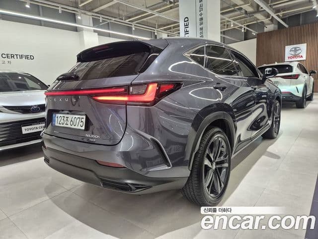 Lexus NX350h 2025 — Şəkil 14/20