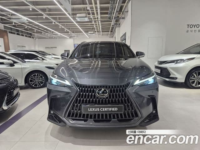 Lexus NX350h 2025 — Şəkil 17/20