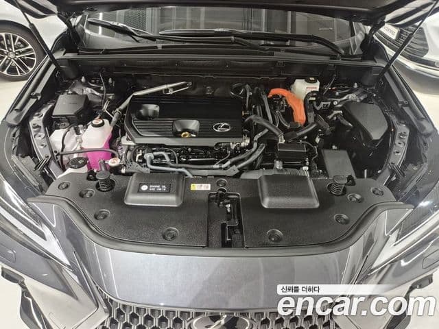 Lexus NX350h 2025 — Şəkil 6/20