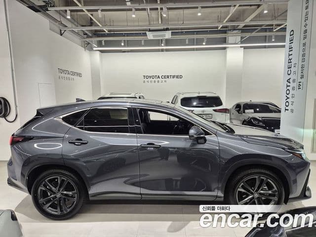 Lexus NX350h 2025 — Şəkil 7/20