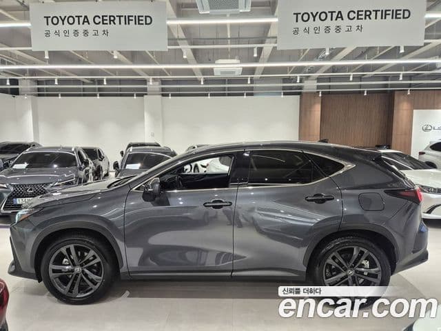 Lexus NX350h 2025 — Şəkil 8/20