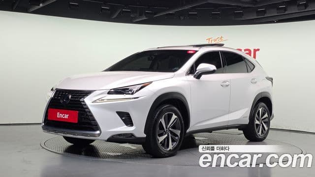 Lexus NX300h 2019 — ფოტო 6/20