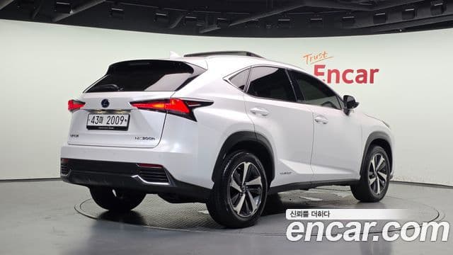 Lexus NX300h 2019 — ფოტო 7/20