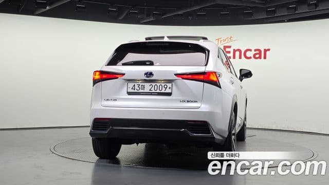 Lexus NX300h 2019 — ფოტო 12/20