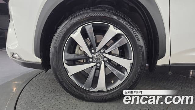 Lexus NX300h 2019 — ფოტო 11/20