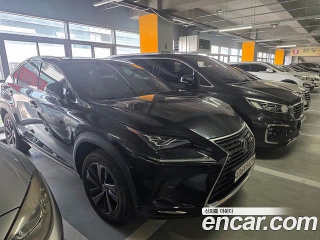 Lexus NX300h 2021 — Фото 2/11