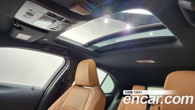 Lexus UX300h 2025 — ფოტო 11/31