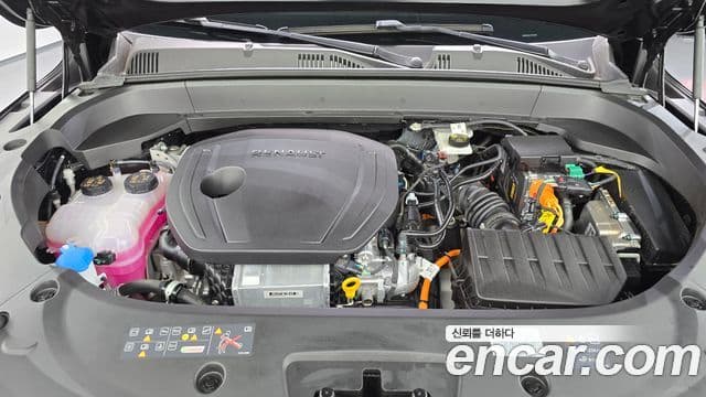Renault Samsung Grand Koleos 2025 — Фото 6/20